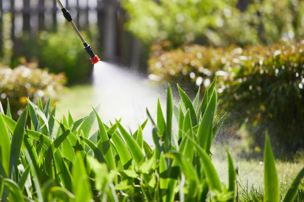 24/7 Emergency Ant Control experts in Clifton, IL